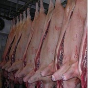 Мясо свинины полутуши охлажденное 2 категория