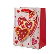Пакеты Egoist Пакет подар. бумажн. 18*23*10 см, 210 гр/м Сердечки, 4 дизайна на выбор фото