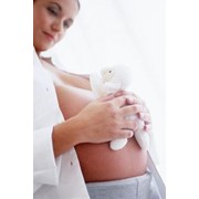 Ведение беременности, Услуги по ведению беременности фото