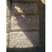 Камень ракушечник крымский в Терновке фото