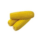Кукуруза оптом экспорт FOB фотография