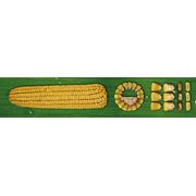 Гибриды кукуруза среднеспелые Аванс МС 350 (ФАО 350)