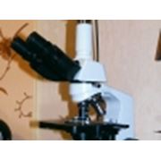 Световой биологический микроскоп с камерой (видеокамерой) высокого разрешения (USB Ethernet); фото