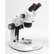 МC 100X - Бинокулярный микроскоп