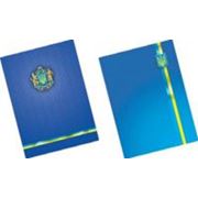 Книга канцелярская Украинская символика 96л.клетка офсет(твердая ламинированная обложка) А4 фото