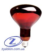 Лампа инфракрасная зеркальная ИКЗК 250 Вт фото