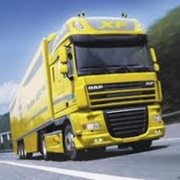 Автомобильные перевозки: грузовые (грузов),пассажирские,контейнерные