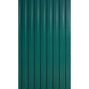 Профнастил стеновой С-10 RAL 6005(тёмно-зелёный) 0.45мм фото