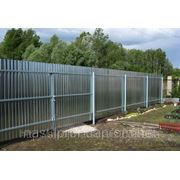 Профнастил оцинкованный П 10 фото