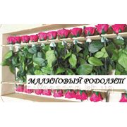 Одна долгосвежая роза FLORICH в подарочной упаковке. Малиновый родолит 7 карат, средний стебель. Харьков фото