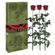 Три долгосвежие розы FLORICH в подарочной упаковке. Коричневый турмалин 7 карат, короткий стебель. Харьков фото