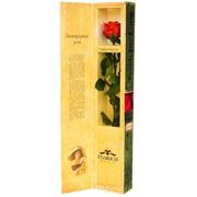 Одна долгосвежая роза FLORICH в подарочной упаковке. Огненный янтарь 5 карат, средний стебель. Харьков фото