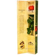 Одна долгосвежая роза FLORICH в подарочной упаковке. Огненный янтарь 5 карат, короткий стебель. Харьков фото