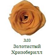 Долгосвежая роза FLORICH Золотистый хризоберилл 3 карат, короткий стебель. Купить в Харькове фото