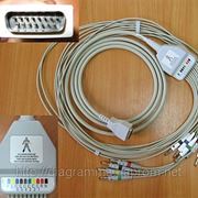 ЭКГ кабель пациента (отведения) FIAB F6736