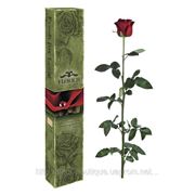 Долгосвежие розы FLORICH (7 карат, короткий стебель) Не вянут до 5 лет!