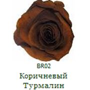 Одна долгосвежая роза FLORICH в подарочной упаковке. Коричневый турмалин 7 карат, короткий стебель. Харьков фотография