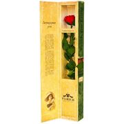 Одна долгосвежая роза FLORICH в подарочной упаковке Алый рубин 5 карат, короткий стебель. Харьков фотография
