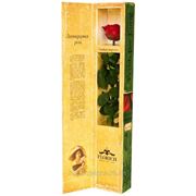 Одна долгосвежая роза FLORICH в подарочной упаковке. Красный рубин 5 карат, короткий стебель. Харьков фото