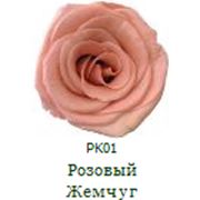 Одна долгосвежая роза FLORICH в подарочной упаковке. Розовый Жемчуг 5 карат, средний стебель. Харьков фото