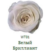 Одна долгосвежая роза FLORICH в подарочной упаковке. Белый бриллиант 7 карат, короткий стебель. Харьков фото