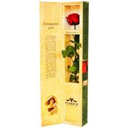 Одна долгосвежая роза FLORICH в подарочной упаковке. Красный рубин 5 карат, средний стебель. Харьков фото