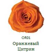 Три долгосвежие розы FLORICH в подарочной упаковке. Оранжевый цитрин 5 карат, средний стебель. Харьков фото