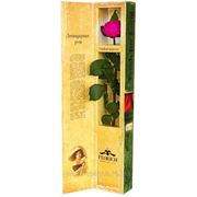 Одна долгосвежая роза FLORICH в подарочной упаковке. Малиновый родолит 5 карат, короткий стебель. Харьков фото