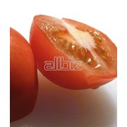 Помидоры, томаты свежие купить цена фото