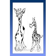 Зебра и жирафик фото