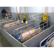 Изготовление и продажа оборудования для свиноферм оборудования для свинокомплексов от производителя станки для опороси кормушки для свиней от производителя фото