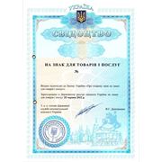 Патентование и регистрация Торговой Марки, ТМ, логотипа, товарного знака, фотография
