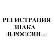 Регистрация товарного знака в России фото