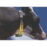 Оборудование животноводческое Rescounter регистратор состояния активности коров