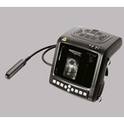 KX 5200V - Цифровой ультразвуковой диагностический аппарат (для свиноводства и молочного скотоводства) фото