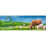 Stalosan®F - Эффективный и экологически чистый дезинфектант для животноводческих помещений