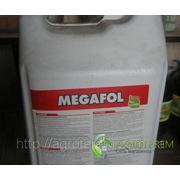 Мегафол (5 л) Megafol фото