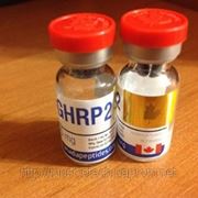 GHRP-2 (стимулятор гормона роста) 5 mg фотография