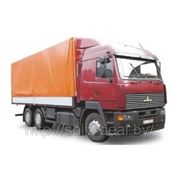 Автомобили МАЗ-6312А5-320, 370-010; МАЗ-6312А8-320, 360-010 фото