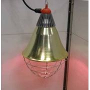 Инфракрасная лампа для обогрева поросят на свинарниках с Днепропетровска фотография