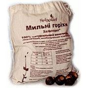 Мыльные орехи Украина фотография