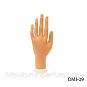Искусственная кисть руки для обучения маникюра, дизайна ногтей Lady Victory DMJ-09 /97-4 фото