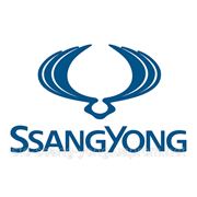 SsangYong автоэлектрик диагностика ремонт Черкассы.