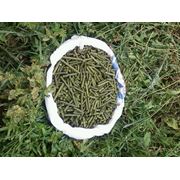 Линия для изготовления травяных гранул (гранулированной травяной муки) фотография