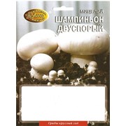 Зерновой мицелий гриба Шампиньон фото