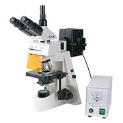 Микроскоп люминесцентный XSZ-146TP(FLUO) для исследования препаратов в проходящем свете, светлом поле. При биохимических, патологоанатомических, цитологических, гематологических, урологических, дерматологических, биологических и общеклинических исследо фото