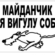 Табличка “Выгул собак“ фото