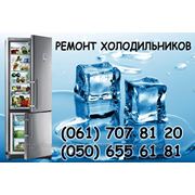 Ремонт холодильников в Запорожье фото