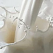 Молоко пастеризованное 3,4% наливное фотография