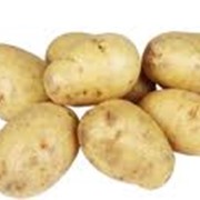 Производство картофеля разных сортов